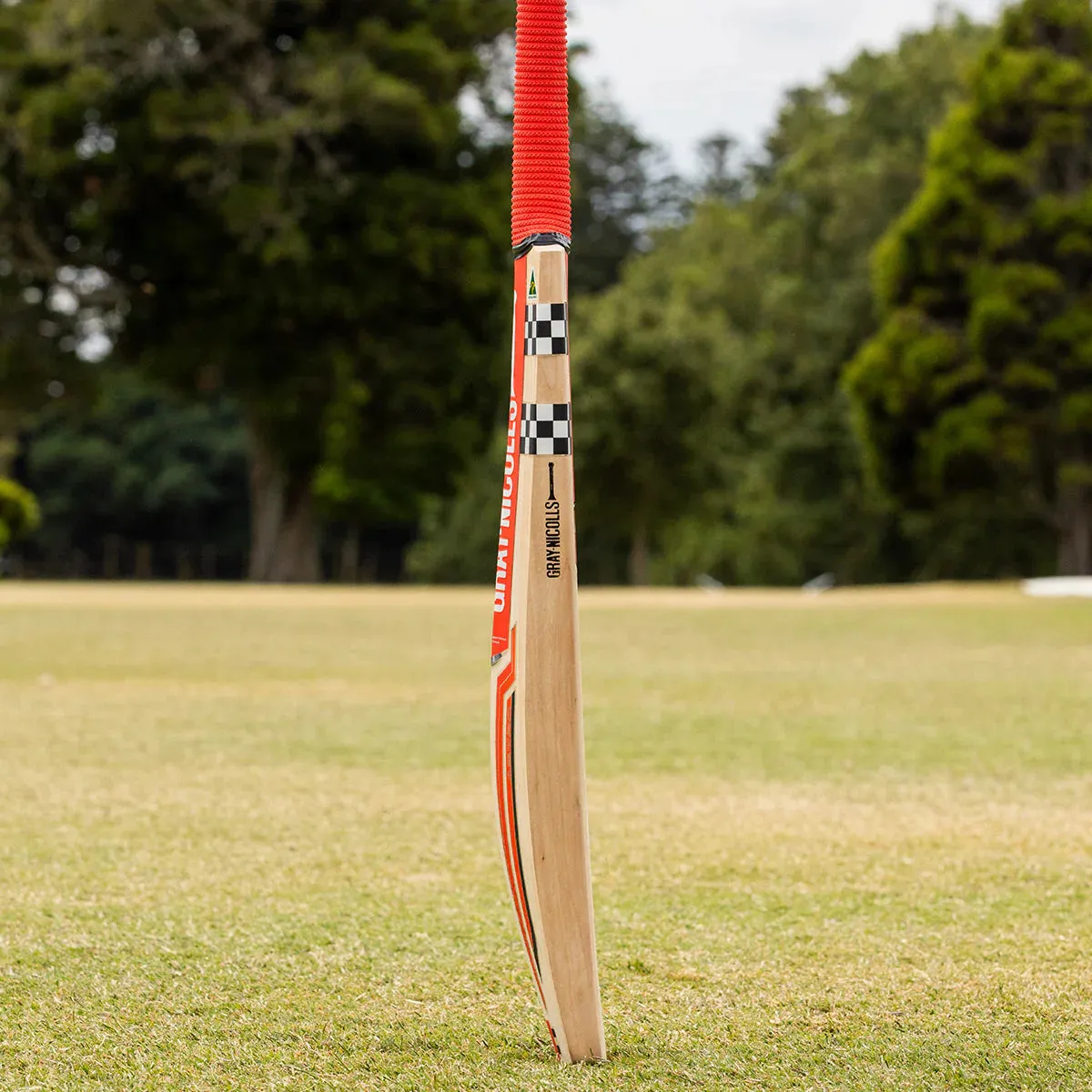 GN Astro 800 Junior Cricket Bat