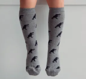 Meia Pata Boys Dinosaur Knee Socks