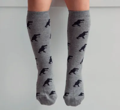 Meia Pata Boys Dinosaur Knee Socks