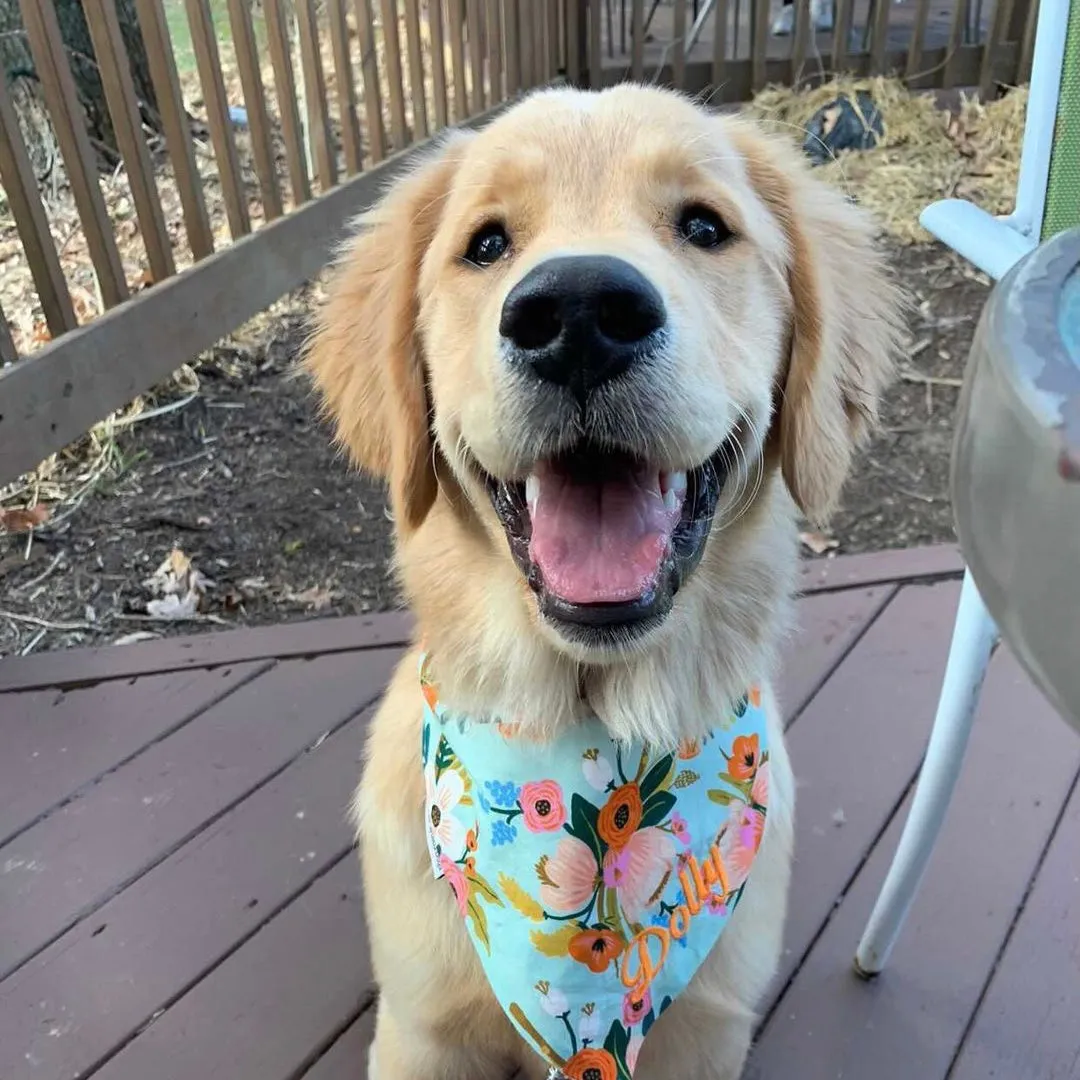 Rifle Floral Dog Bandana Personalized with Pets Name