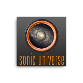 Sonic Universe 16x16" Stretched Canvas Print